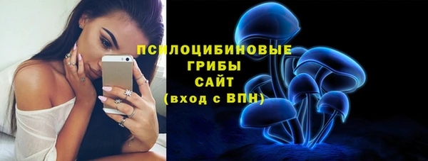 трава Армянск