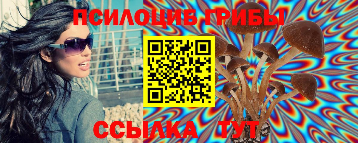 Галлюциногенные грибы Magic Shrooms Долгопрудный