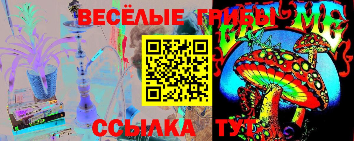 Галлюциногенные грибы Psilocybine cubensis  Вход с VPN  Долгопрудный 
