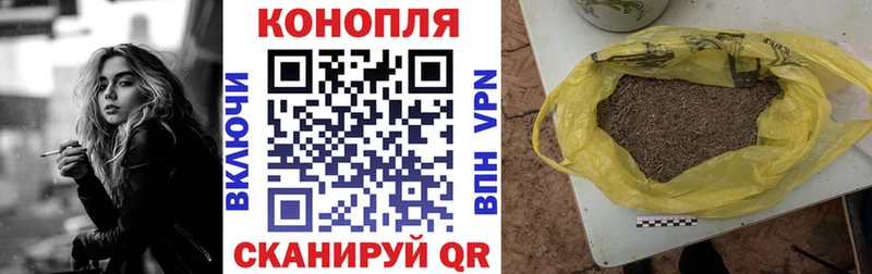 Бошки марихуана индика  Долгопрудный 